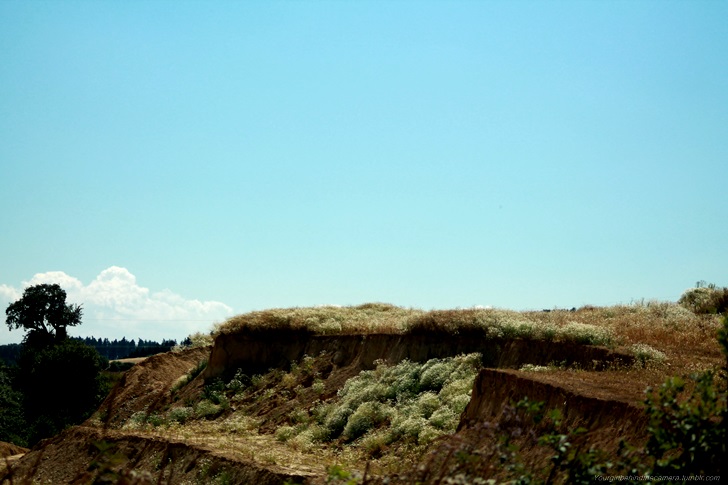 Landschaftsbild