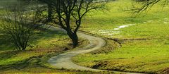 Landschaftsbild