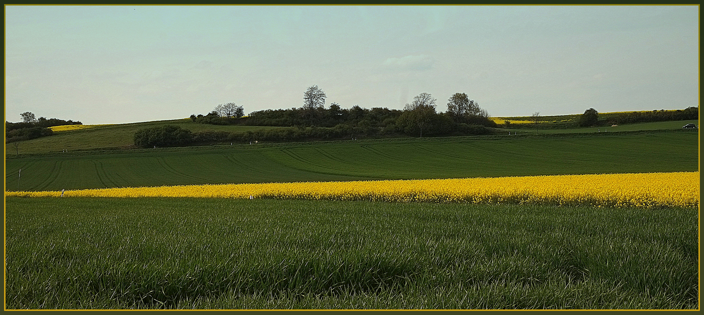 Landschaft(s)Bild