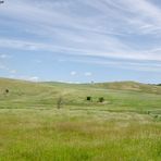 Landschaftsbild auf Rügen