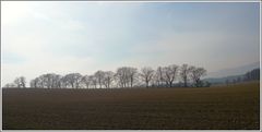 Landschaftsbild