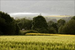 Landschaftsbild