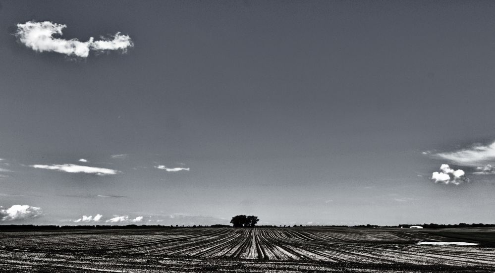 landschaftsbild .