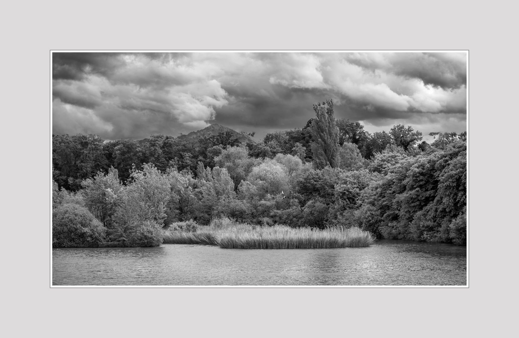 Landschaftsbild in schwarz weiss