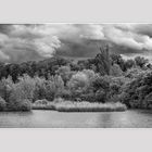 Landschaftsbild in schwarz weiss