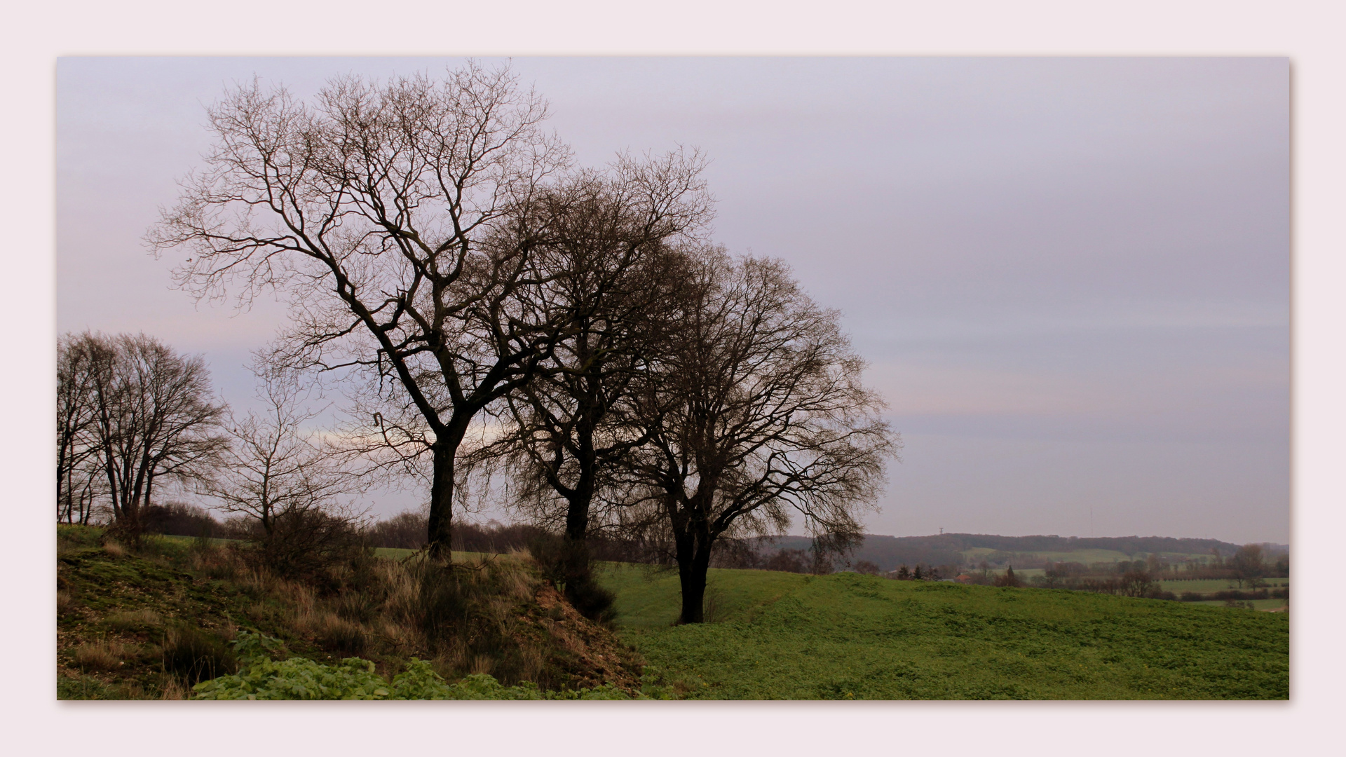 " Landschaftsbilder vom Niederrhein "