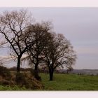 " Landschaftsbilder vom Niederrhein "