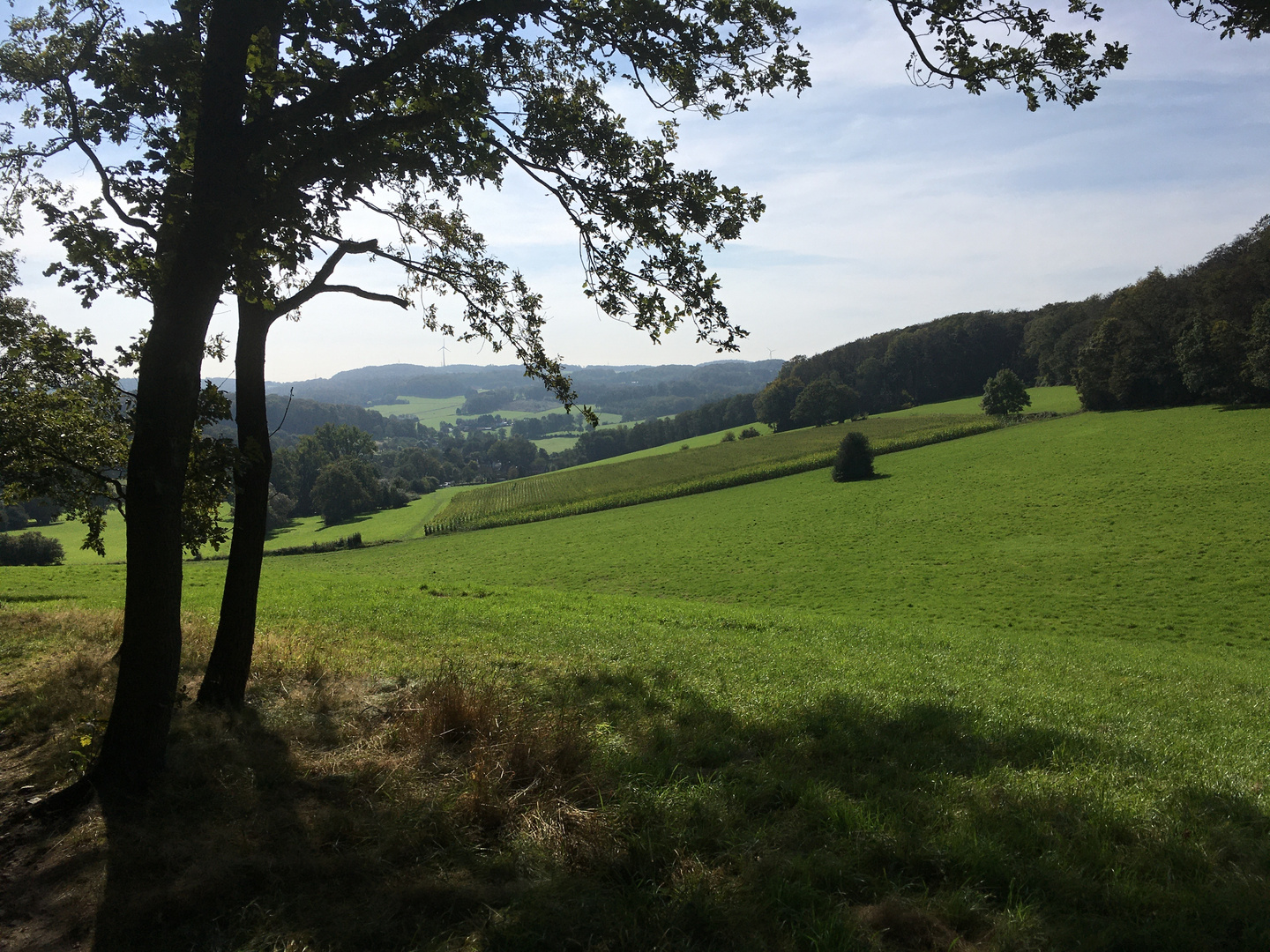 Landschaftsblick