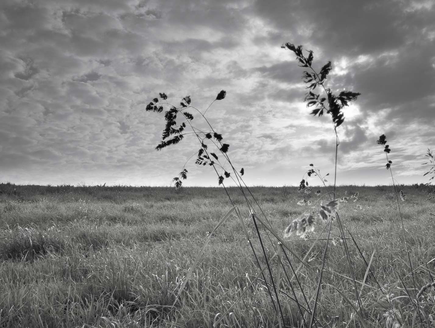 Landschaftsblick