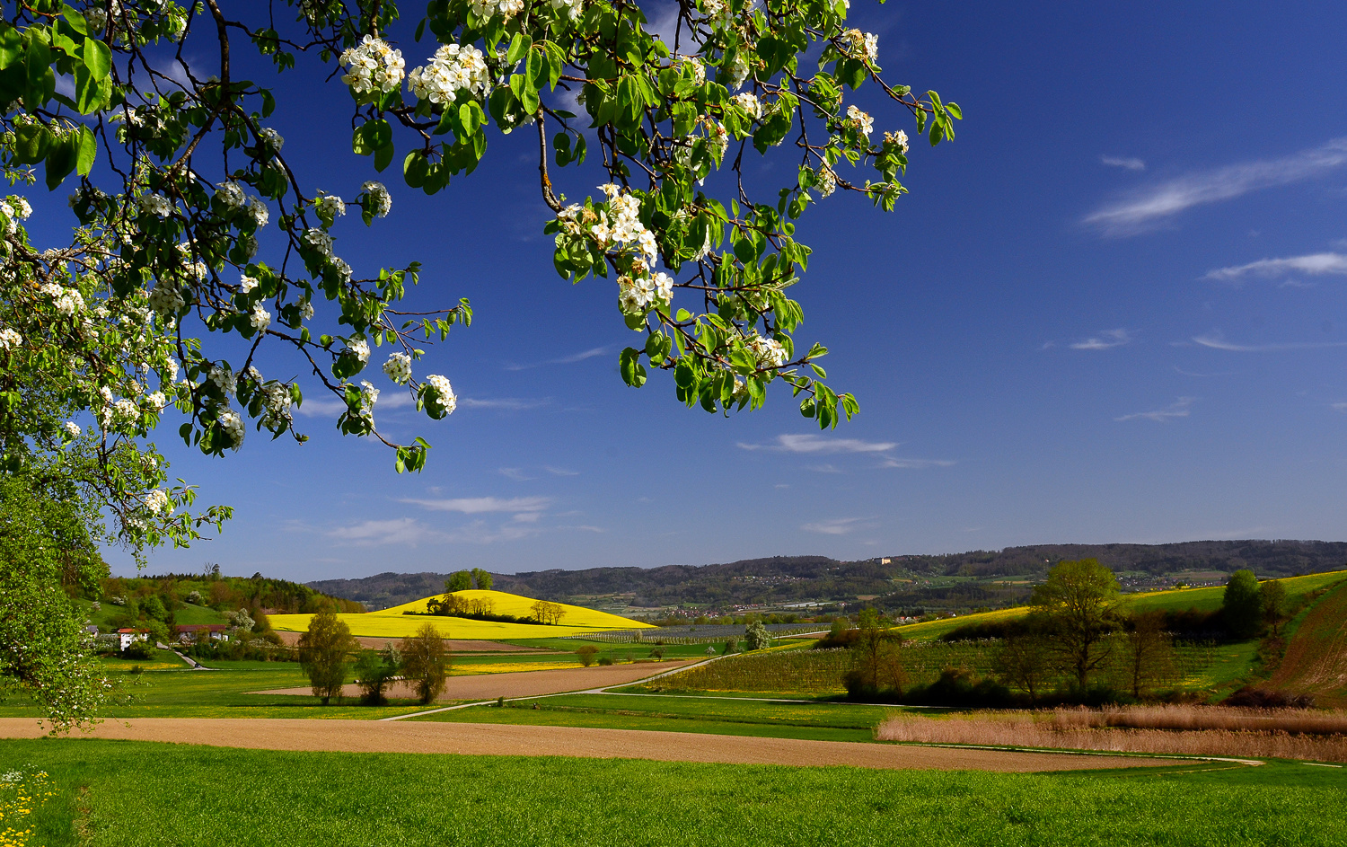 Landschaftsblick ...