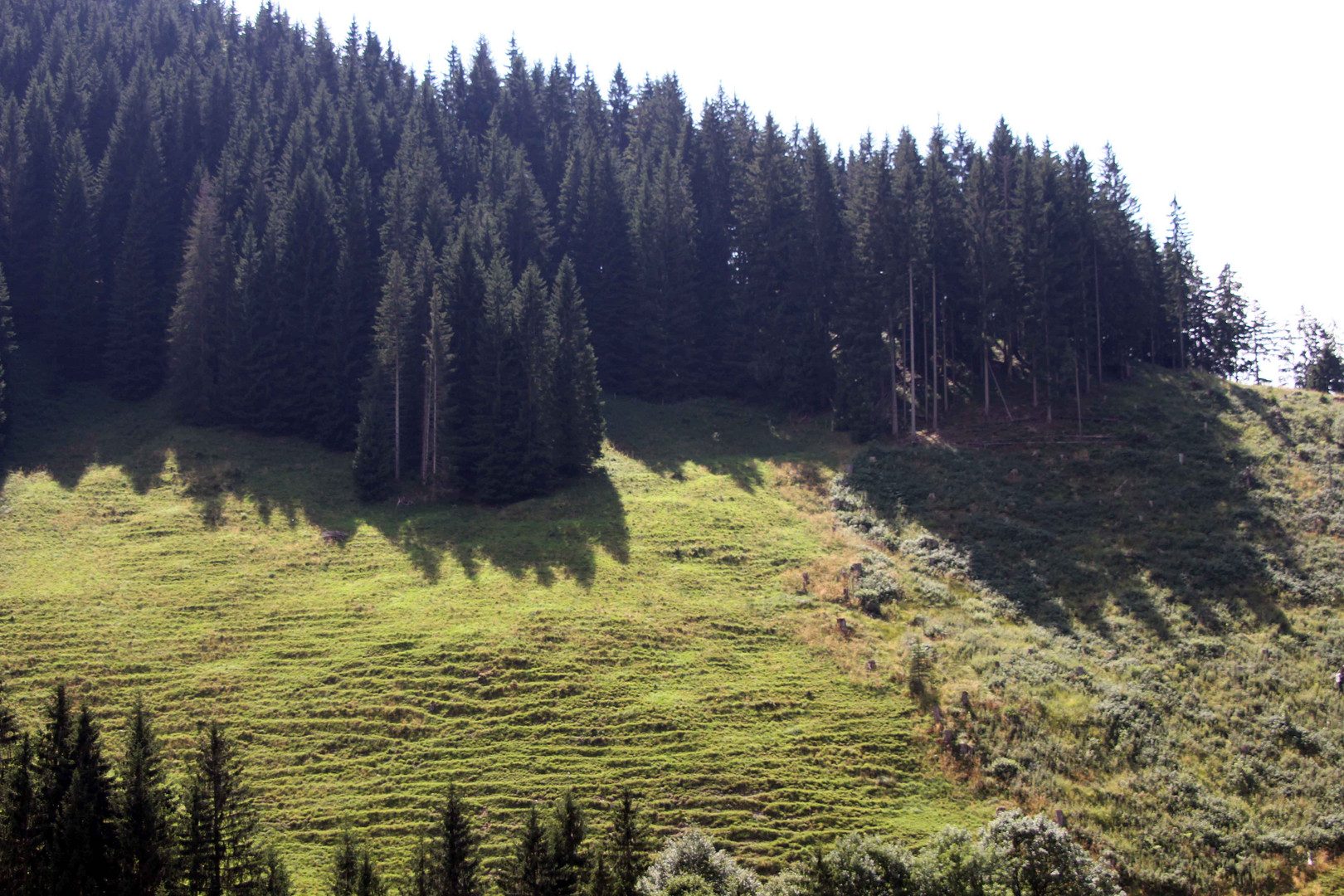 Landschaftsblick in Oberstdorf