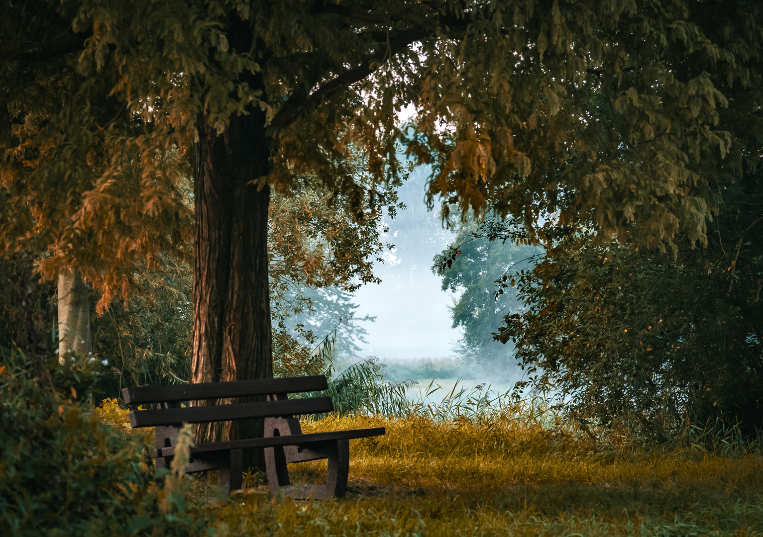 Landschaftsee Uchte