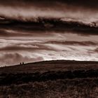 landschaft_sepia