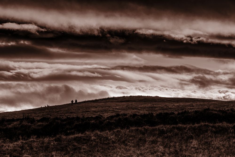 landschaft_sepia