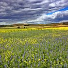 Landschaftsfoto