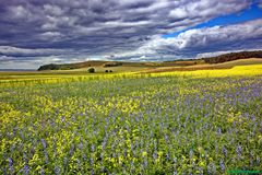 Landschaftsfoto