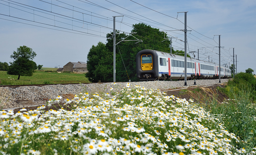 Landschaftsfoto mit Bahn und Plümchen