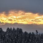 Landschaftsfotograf | Konstanz