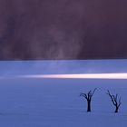 "Landschaftsfotografie in Namibia" Impression 2 / 2004