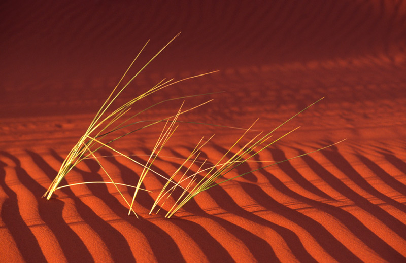 "Landschaftsfotografie in Namibia" Impression 3 / 2004