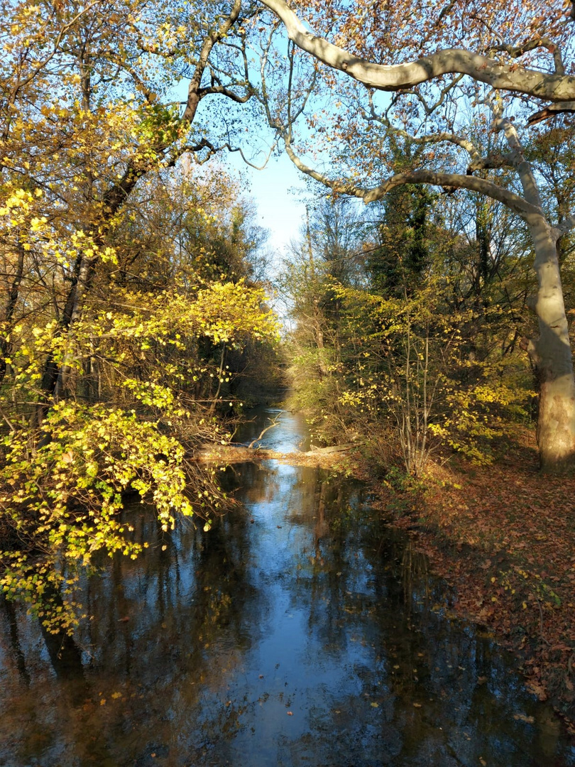 Landschaftsgarten