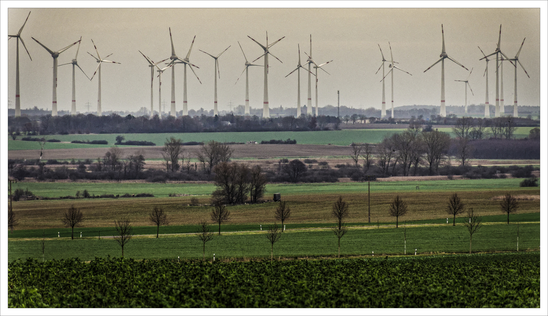 Landschaftsgestaltung 2021