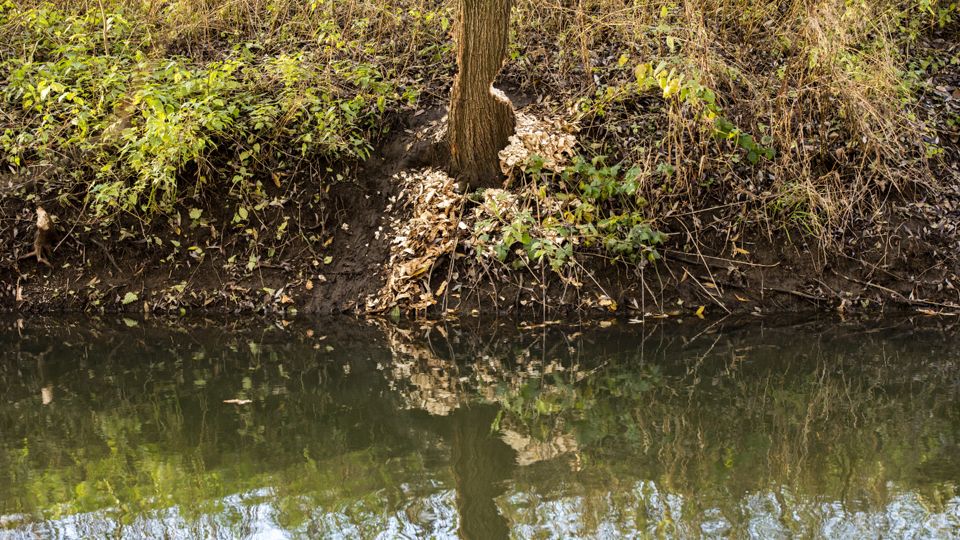 Landschaftsgestaltung