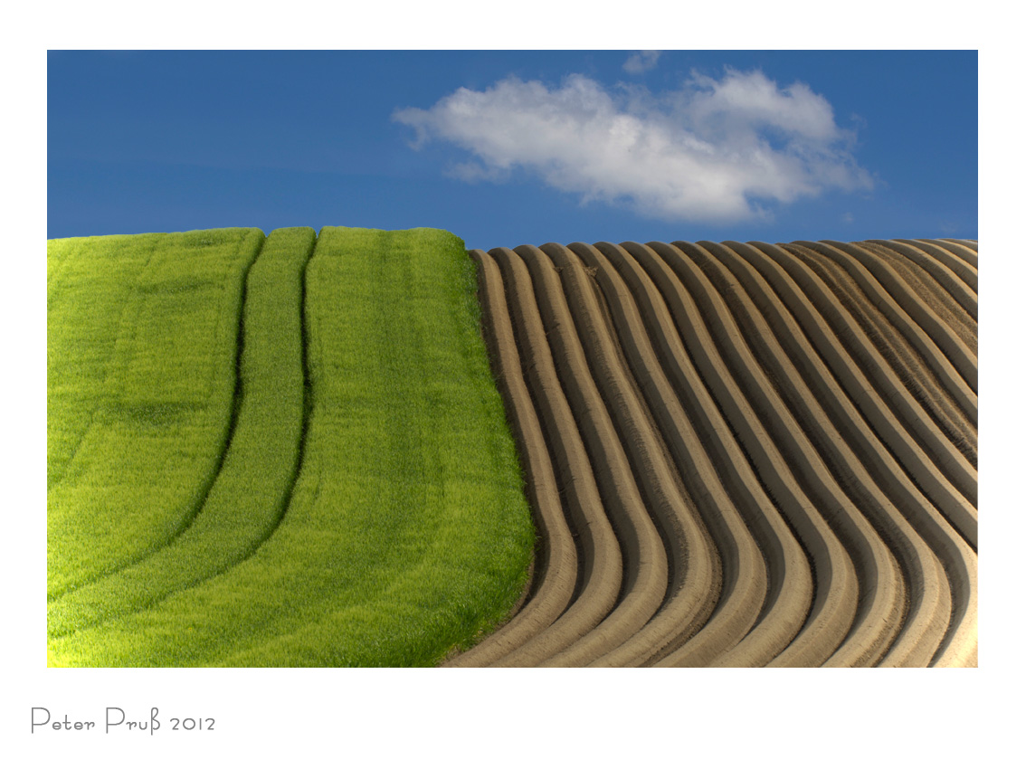 Landschaftsgestaltung