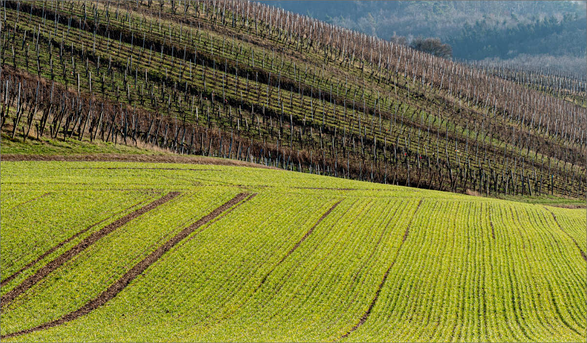 Landschaftsgrafik