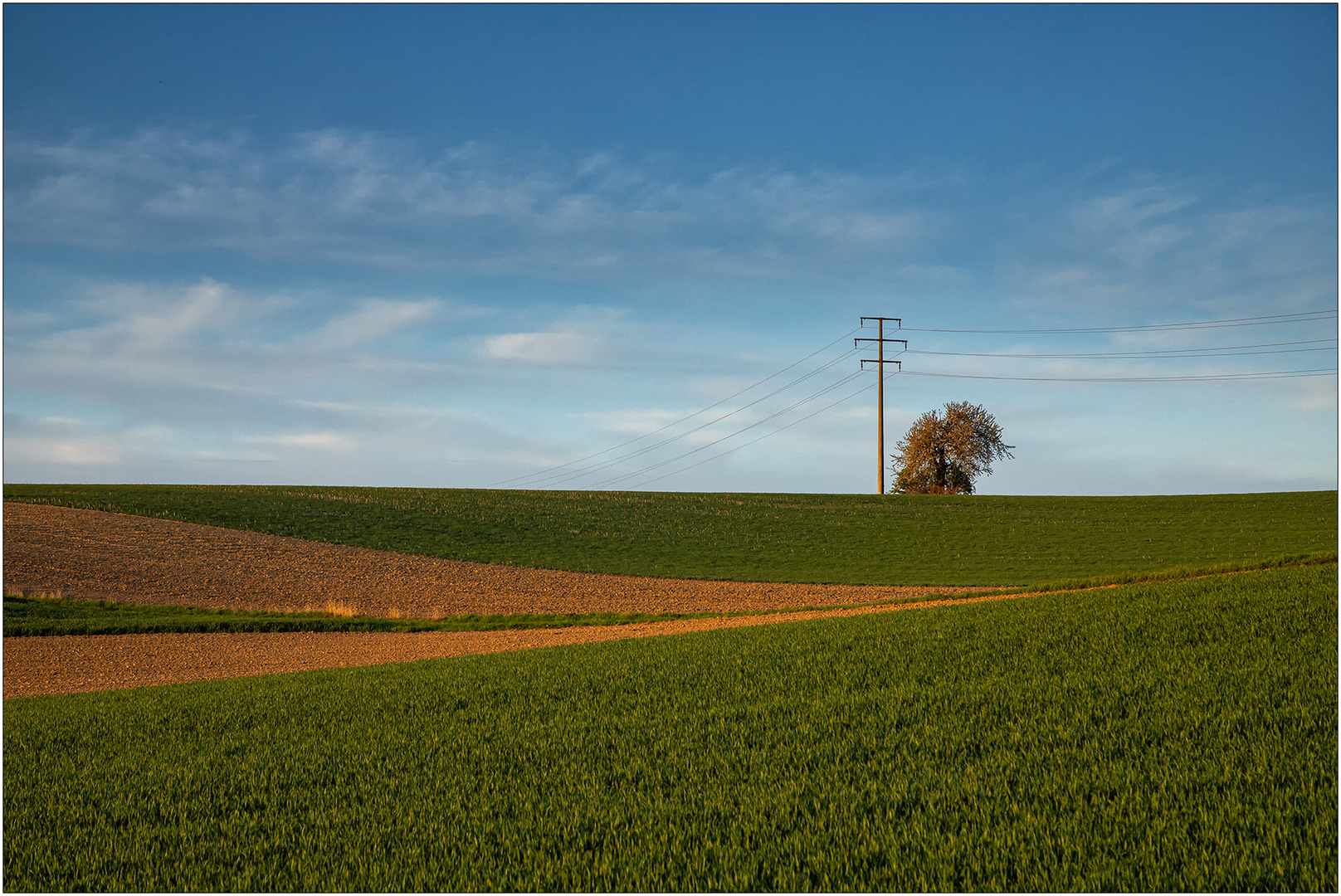 Landschaftsgrafik