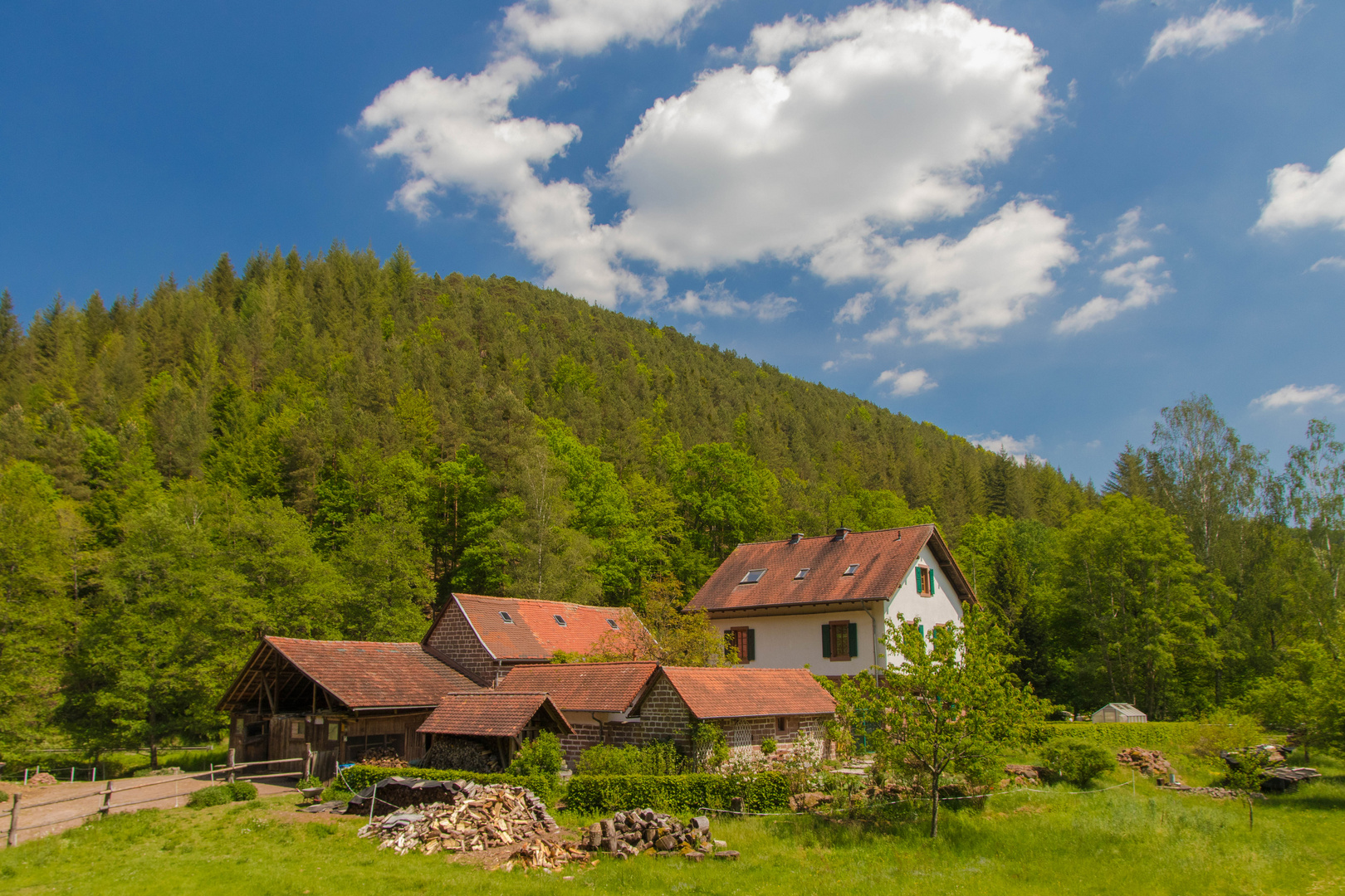 Landschaftsidylle im Pfälzer Wald