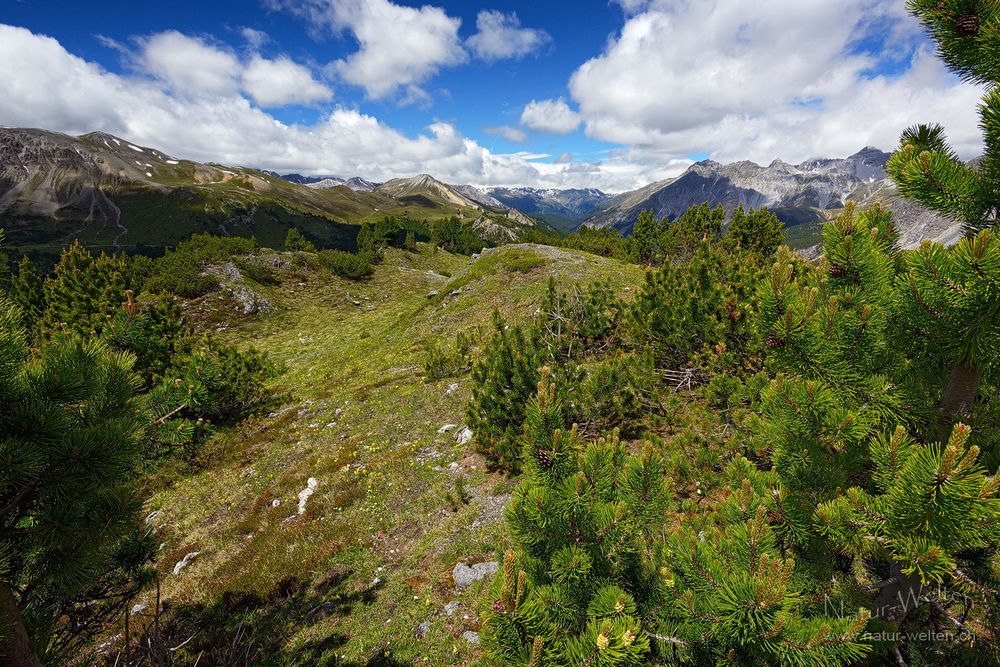 Landschaftsjuwel