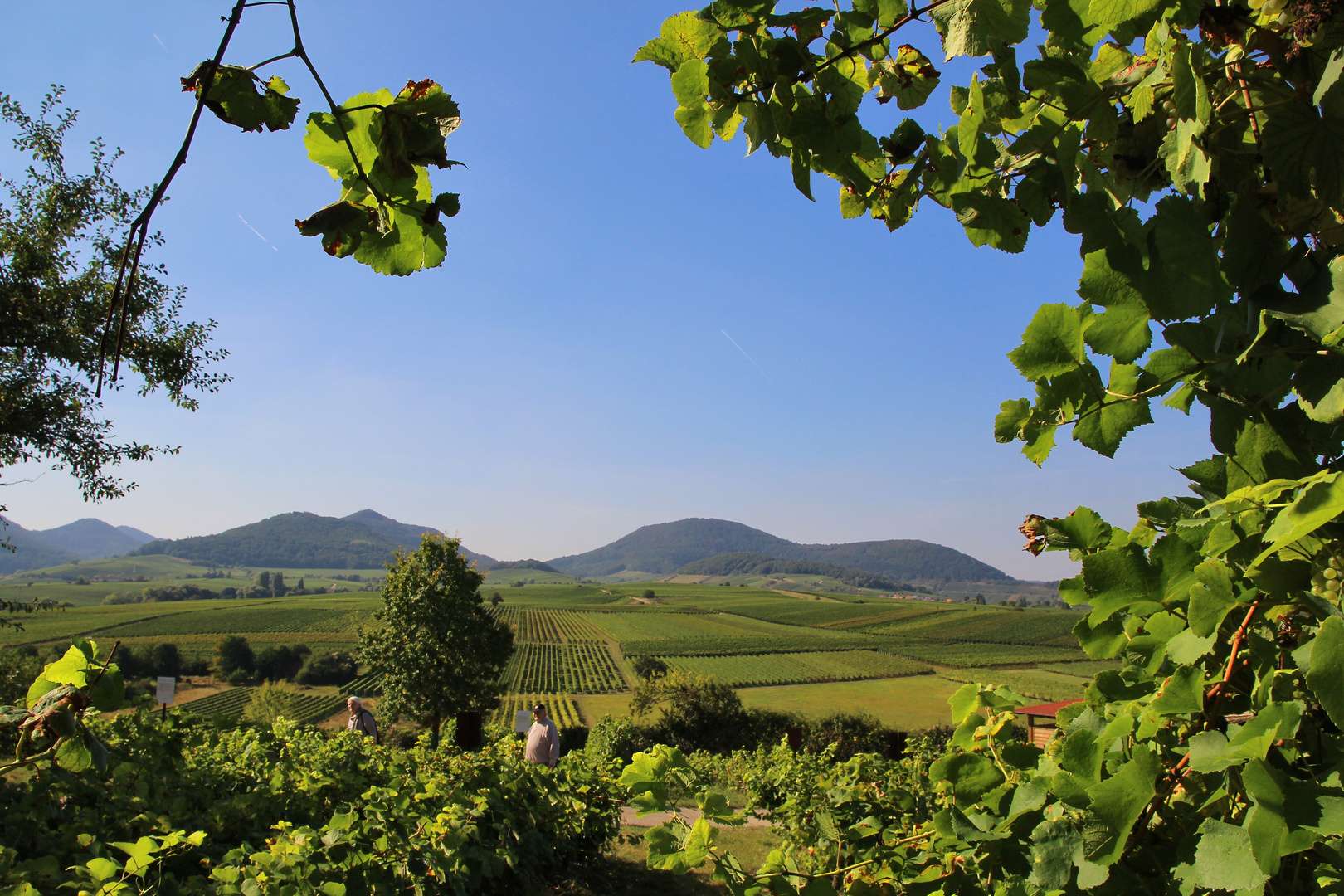 Landschaftskino