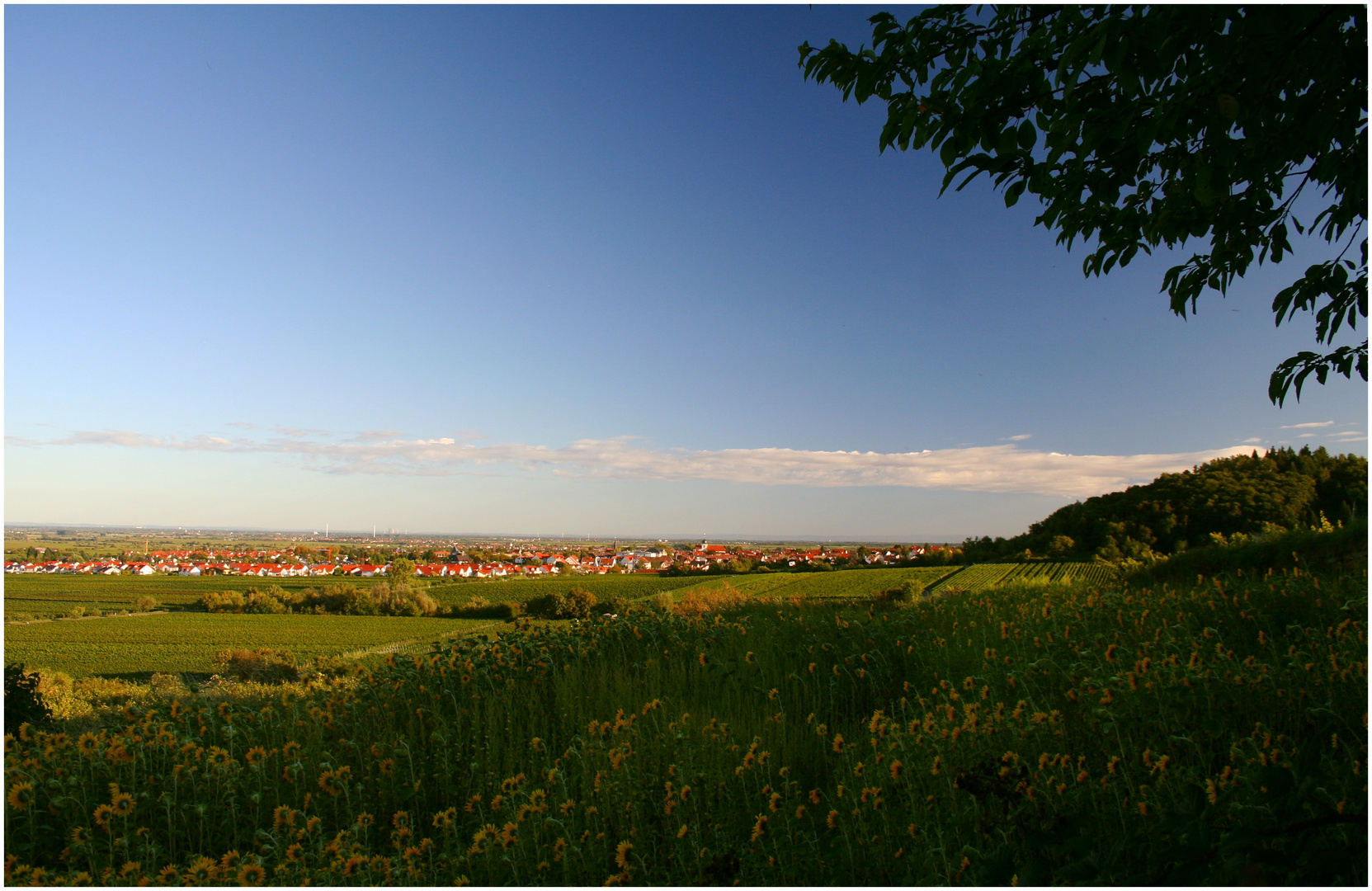 Landschaftskino