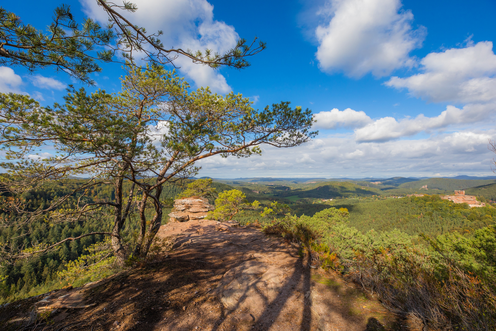 Landschaftskino Dahner Felsenland