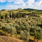 Landschaftskino im Val d'Orcia