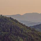 Landschaftskino Pfälzer Wald