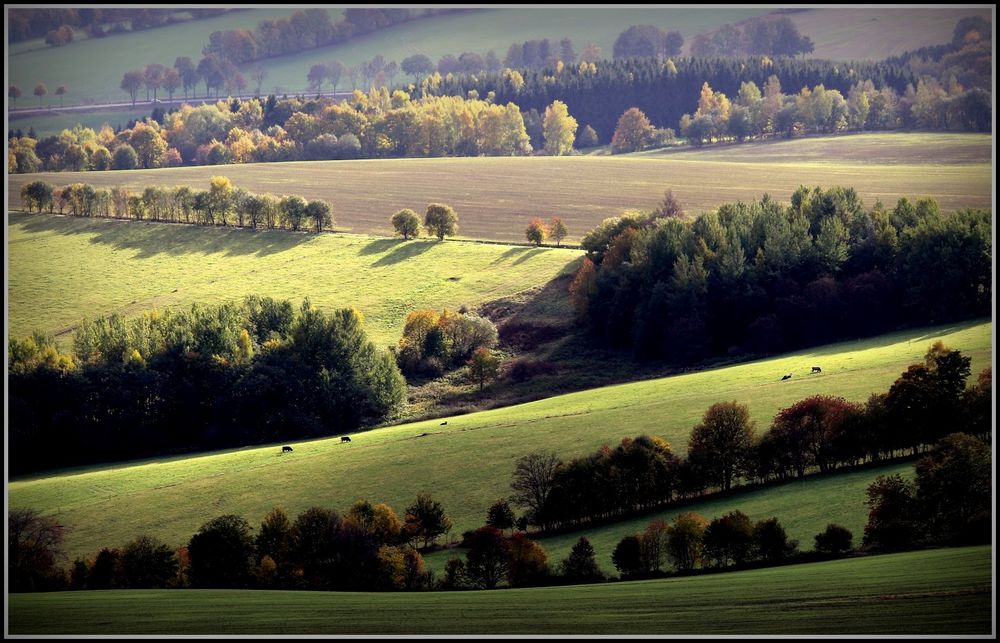 Landschaftslinien