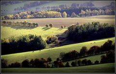 Landschaftslinien