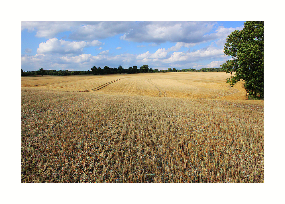 Landschaftslinien