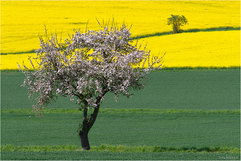 Landschaftslinien