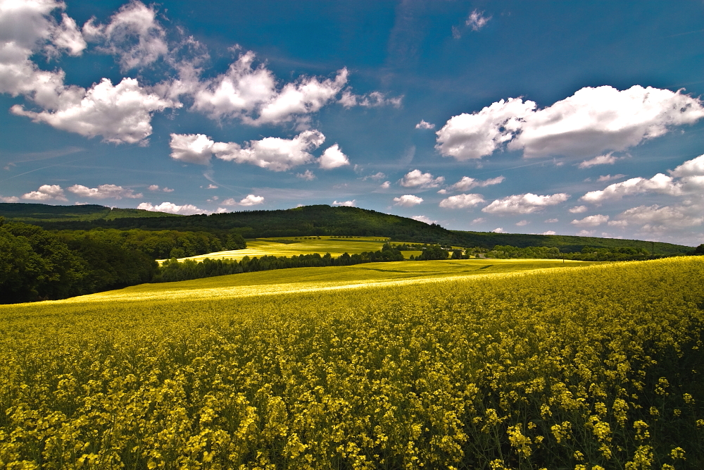 Landschaftsmaler