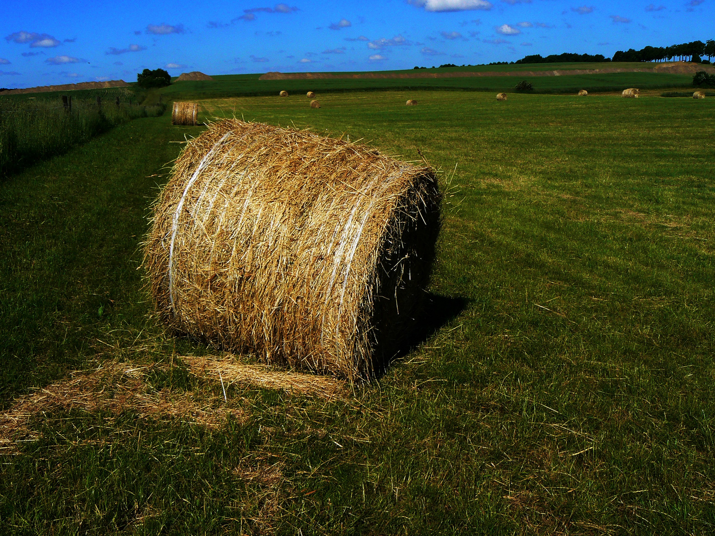 Landschaftsmalerei...