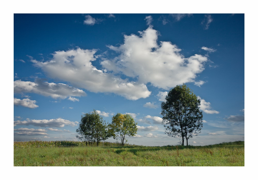 Landschaftsmalerei