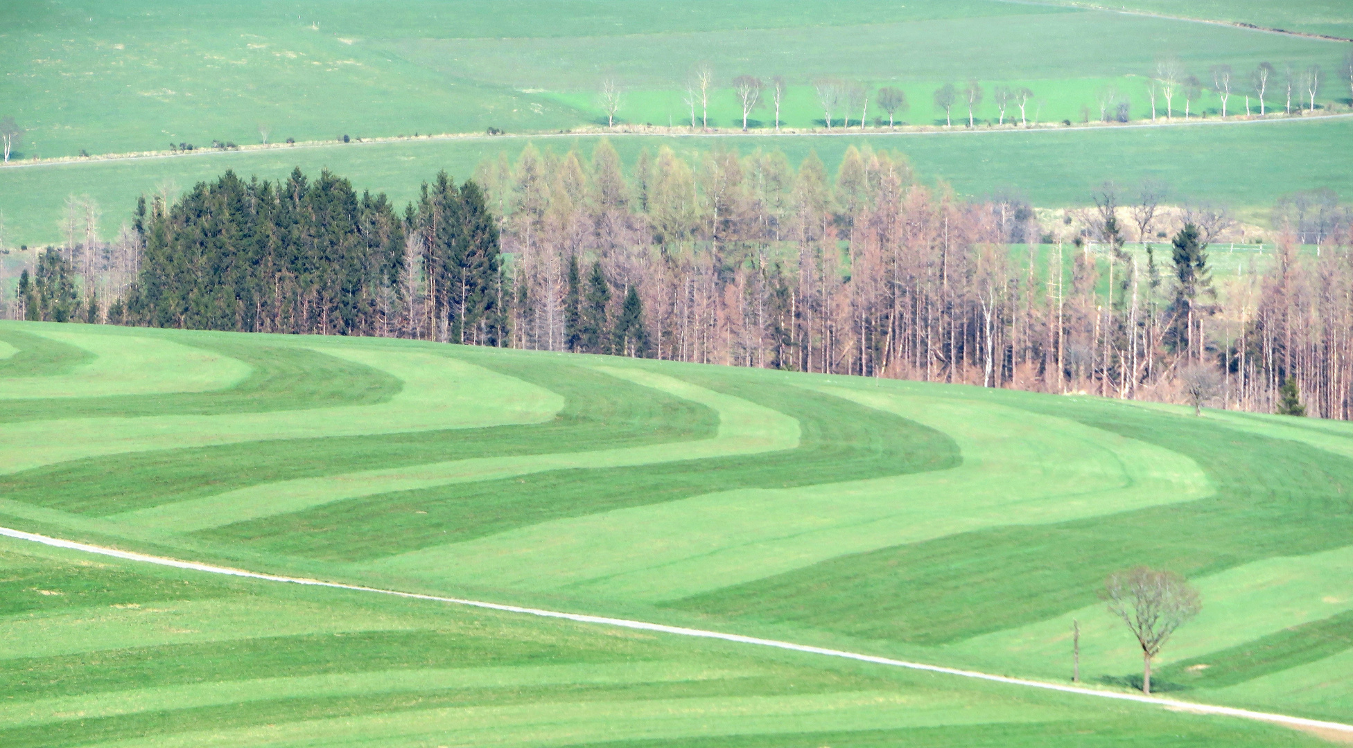 Landschaftsmalerei