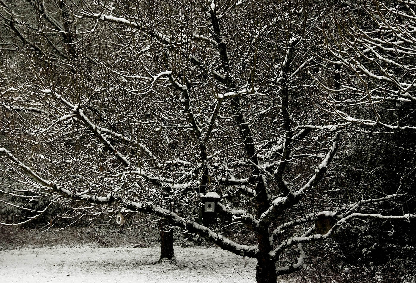 Landschaftsmalerei mit nur etwas Schnee ....