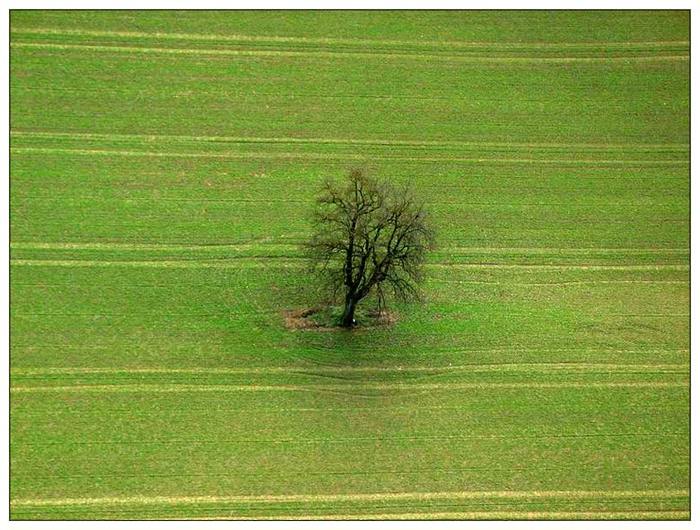 Landschaftsmalerei Nr.05