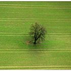 Landschaftsmalerei Nr.05