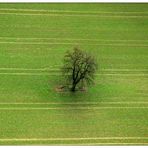 Landschaftsmalerei Nr.05