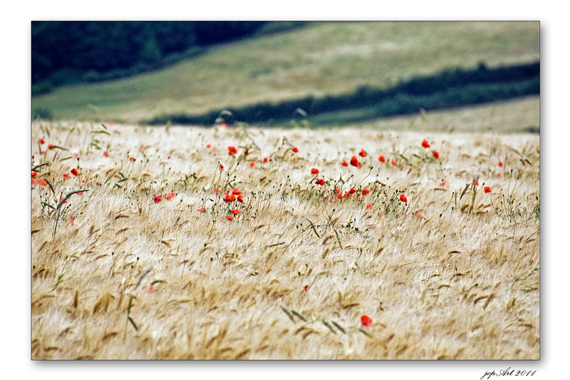 Landschaftsmalerwetter